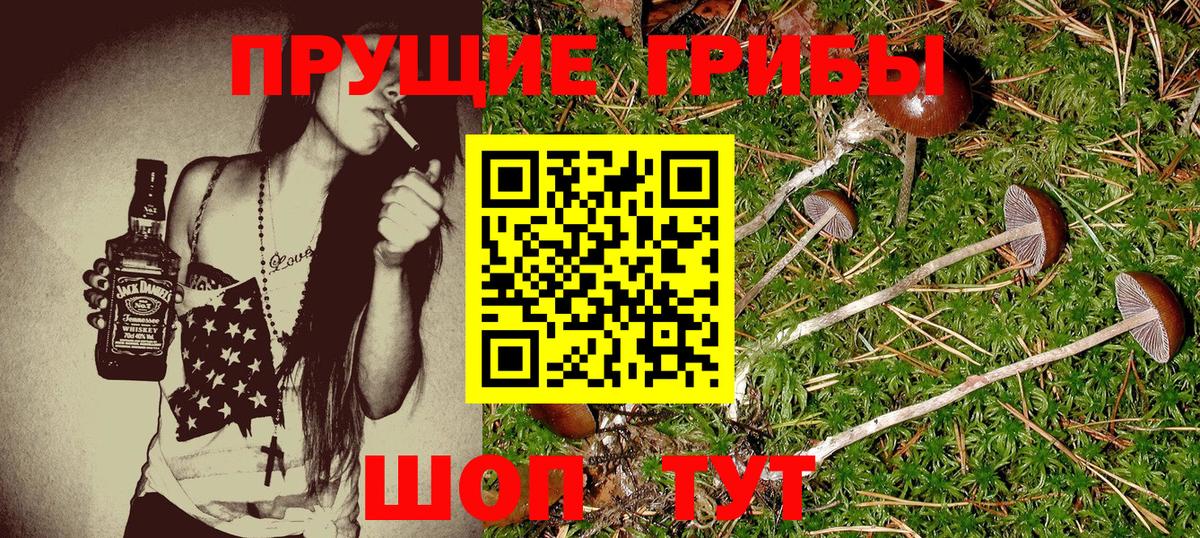 Галлюциногенные грибы мухоморы  Псилоцибиновые грибы MAGIC MUSHROOMS  Вход с VPN  Ивантеевка 