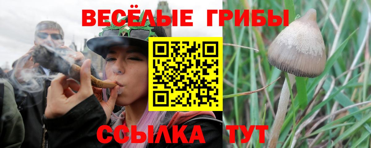 Псилоцибиновые грибы Magic Shrooms Ивантеевка