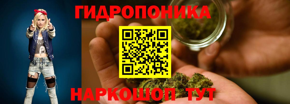 Конопля сатива Ивантеевка